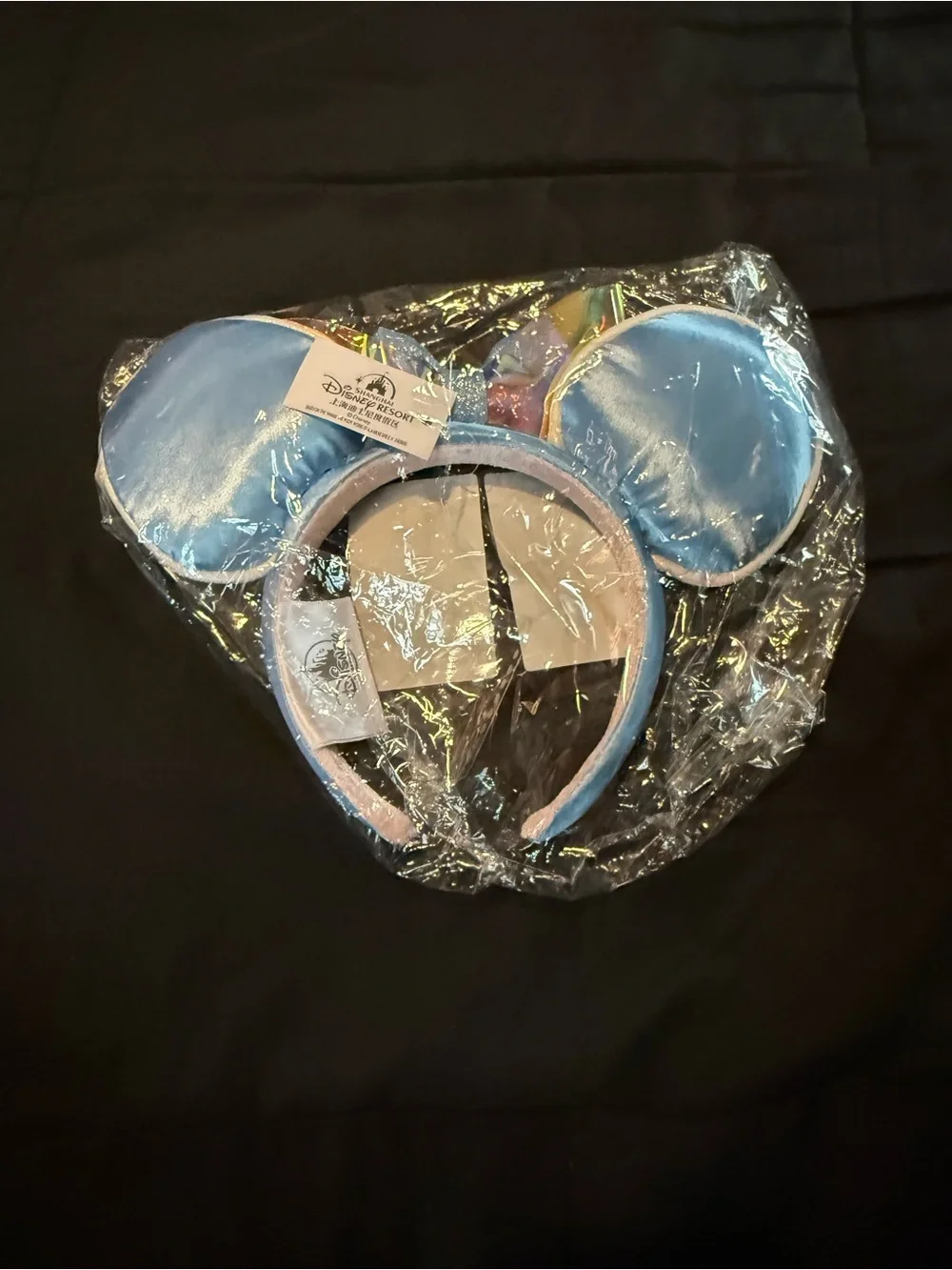 Cinderella Mickey Ears